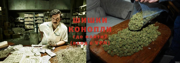 дурь Алзамай