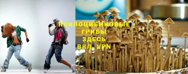 дурь Алзамай