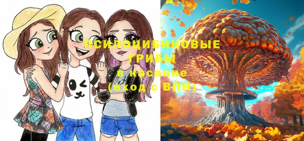 spice Алексеевка