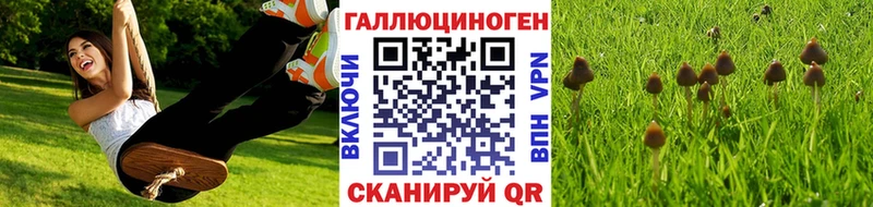 Псилоцибиновые грибы прущие грибы  где купить наркоту  Щигры 